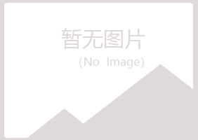 白银平川傲蕾咨询有限公司